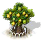 Quittenbaum XL.png