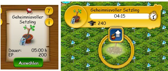 Rätselbaum Rune Test02.jpg