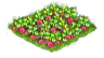 radish_Icon.png