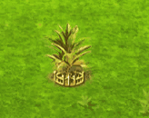 rafiapalm_upgrade_2.gif