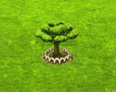 raintree_upgrade_1.gif