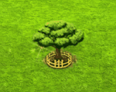 raintree_upgrade_2.gif