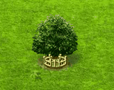 rambutan_upgrade_2.gif