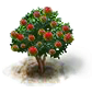 Rambutanbaum.png