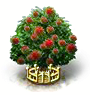 Rambutanbaum xxl.png