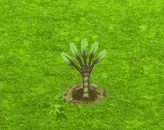 ravenala_upgrade_0.gif