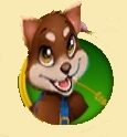 Red Panda.jpg