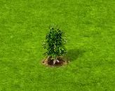 redalder_upgrade_0.gif