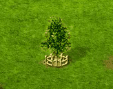redalder_upgrade_2.gif