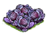 redcabbage_Icon.png
