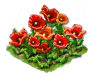 redpoppy_Icon.png