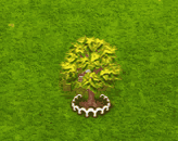 redsnakebarkmaple_upgrade_1.gif