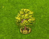 redsnakebarkmaple_upgrade_2.gif