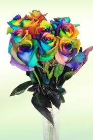 Regenbogenrosen.jpg