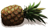 reward_04_pineapple[1].png