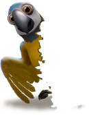 reward_06_parrot[1].png