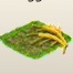 Roggen.png
