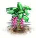 Rosa-Bananen-Baum.png