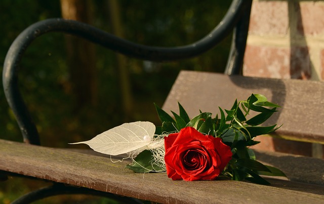 rose-1711237_640.jpg