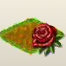 Rose.png