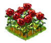 rose_Icon.png