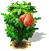 Rosenapfelbaum.png