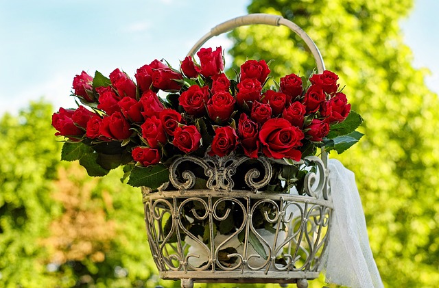 roses-1417263_640.jpg