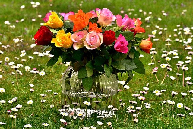 roses-2230531_640.jpg