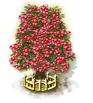 rowantree_upgrade_2_Icon.png