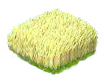 rye_Icon.png