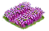 sage_Icon.png