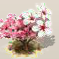 Sakura-Blüte.png