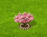 sakura_upgrade_1.gif