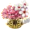 sakuraupgrade2[1].png