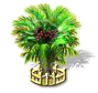 salakpalm_upgrade_2_Icon.png