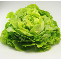 Salat.jpg
