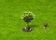 salixintegra_upgrade_0.gif