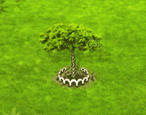 sandboxtree_upgrade_1.gif
