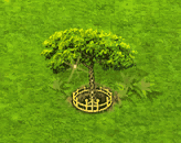 sandboxtree_upgrade_2.gif
