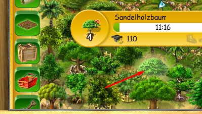Sandelholz von Schneewolke.jpg