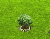 scarletsesbania_upgrade_1.gif