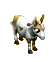 schönohr esel.png