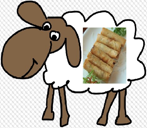 Schaf mit Frühlingsrollen.jpg
