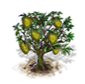 Schein-Graviola-Baum .png