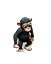 Schimpanse.png
