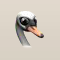 Schwan.png
