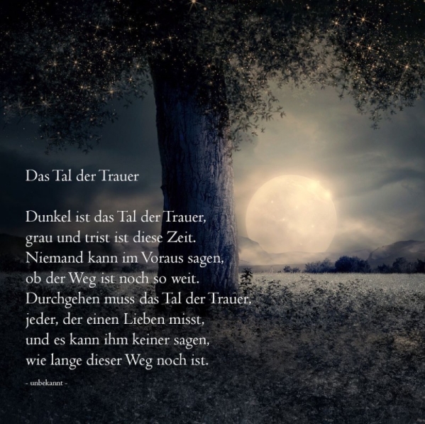 Screenshot_3.jpg