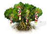 seagrape_upgrade_0_Icon.png