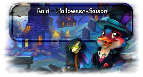 Season.Bannerpng.png