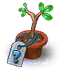 secretseedling.png
